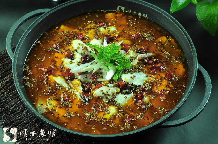 有什么特色魚加盟的 適合什么地方開店